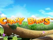 play crazy birds online free